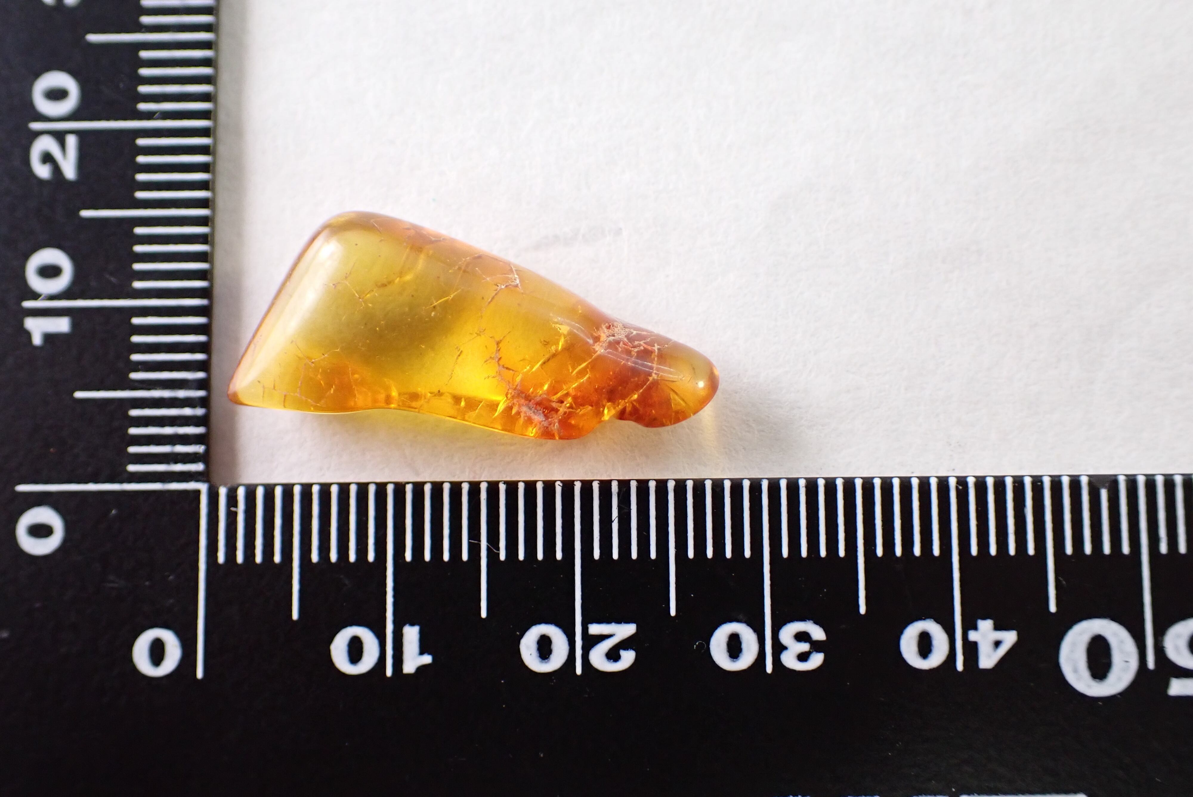 原石セット】バルティックアンバー 1.26ct/5.02ct [C2‐1070 原石セット】バルティックアンバー 1.26ct/5.02ct [C2‐1070