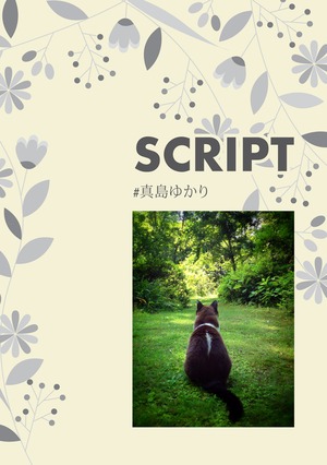 真島ゆかりフォトブック『SCRIPT』