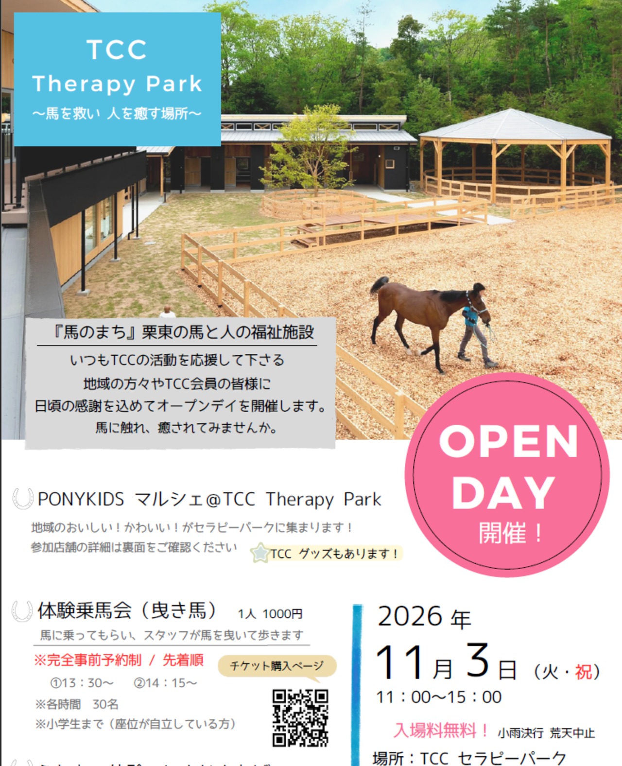 11/3 TCCセラピーパーク　OPEN DAY 体験乗馬チケット【小学生以下】