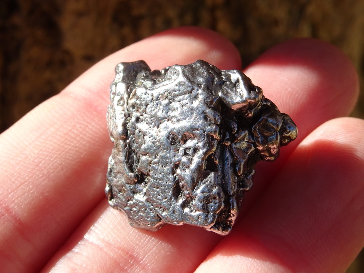 カンポデルシエロ鉄隕石 ~Cosmic Iron~ | 虹石屋