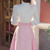 Fake Two-piece Set Elegant Lady Dress 5090