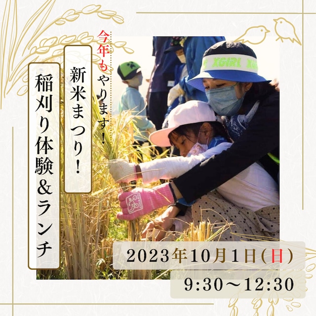 【2024年5月11日開催】いといがわコットンプロジェクト：綿花の畑にタネをまこう！& 早川ピクニック