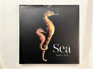 【VN012】Sea /visual book