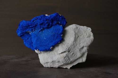 アズライト・サン Azurite Sun 809