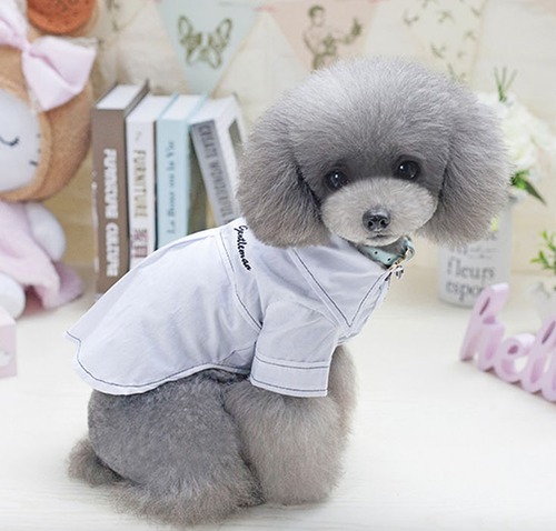 ロゴ半袖シャツ