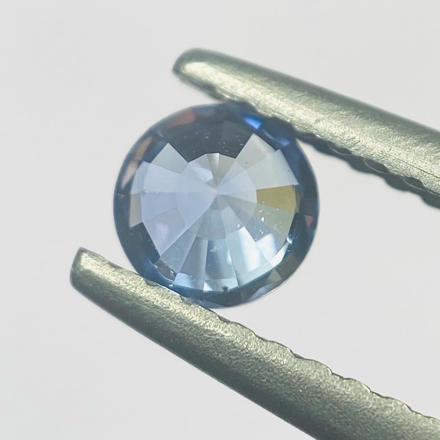 ソライロアサガオ　サファイア2