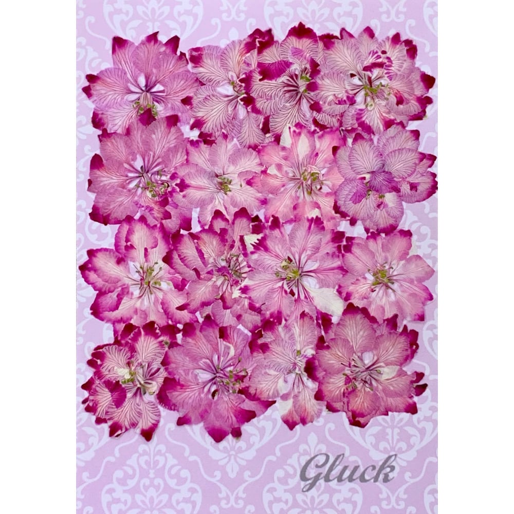コンパクト押し花 菜の花 少量をパックにしてお届け！ 押し花素材