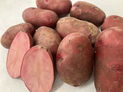 【タネイモ】赤皮赤肉のレアじゃがいも　西海31号(別名ドラゴンレッド)3kg 送料込み 画像