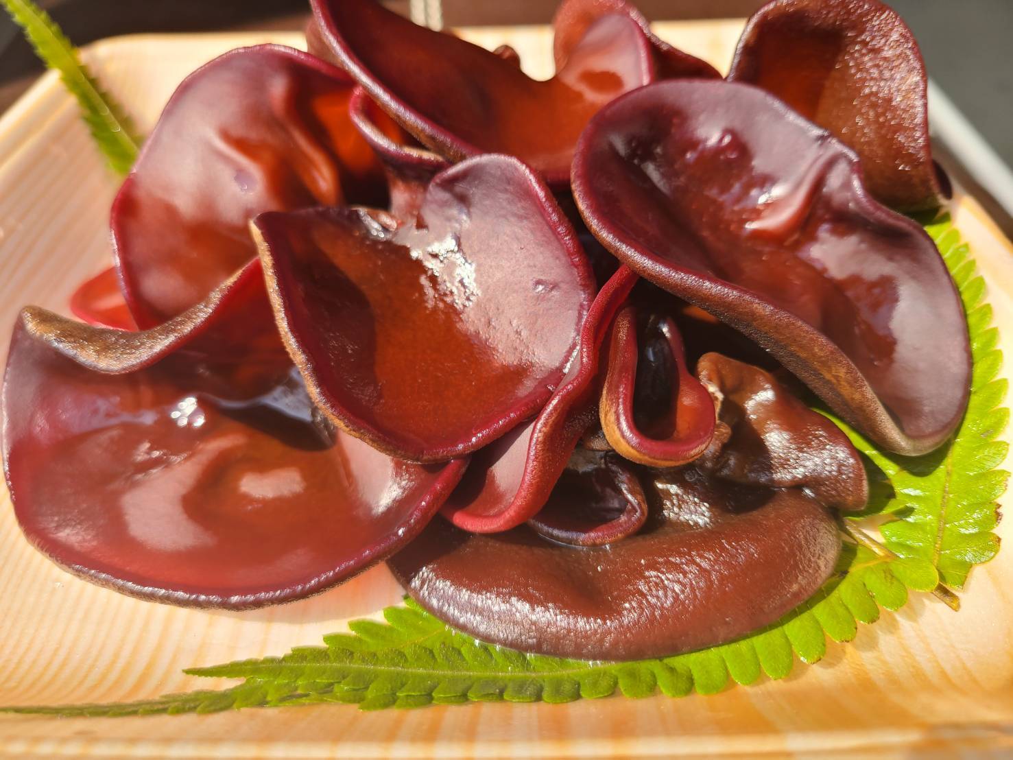 プレミアム生きくらげ 1パック100g（送料別途※クール便） | Seiko SHOP