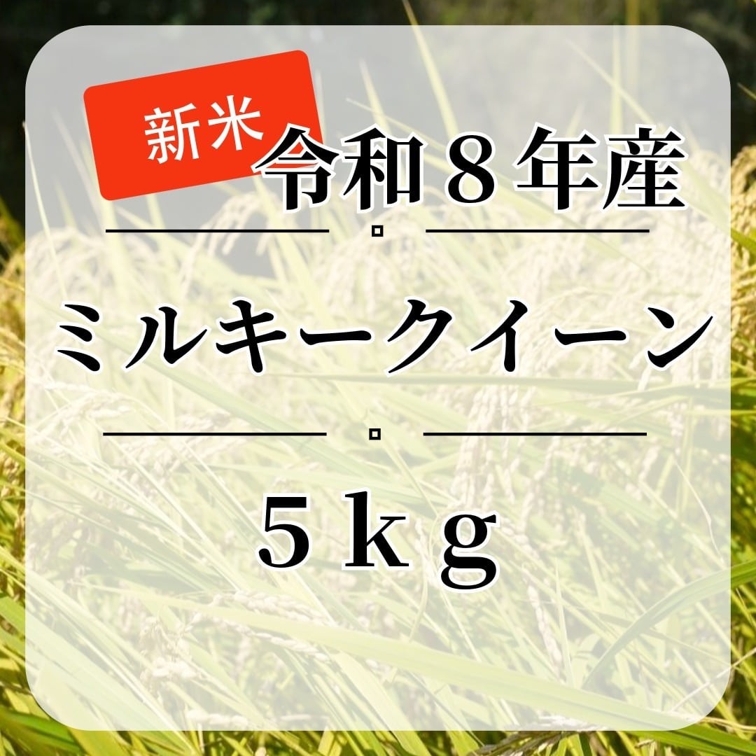 新米『ミルキークイーン』【白米・無洗米】5kg | 上野さんちのお米