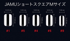 ネイルチップ：JAM260018　NailTipCollection