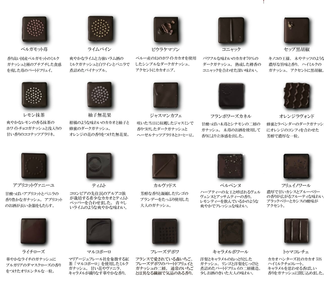 ボンボンショコラ24個入り | TERROIR by Daichi Okuno