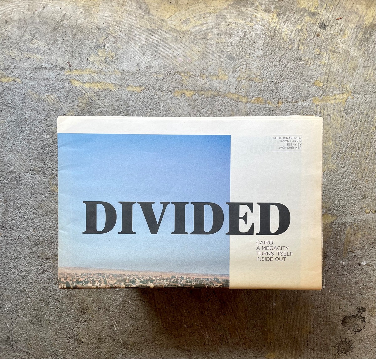 divided-standard-bookstore