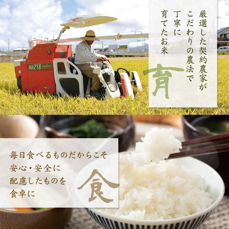令和6年産棚田で育てたヒデコ餅20㎏白米 令和6年産棚田で育てたヒデコ餅20㎏白米