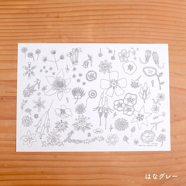 【CHIQON】PAPER IN B6サイズ 便箋「はなグレー」