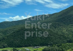 山と空フォト フォト 写真 記念 記憶 記録 花 草 雑草 木 樹木 景色 日本の風景 素敵 japon view iPhone カメラ photo  drive trip travel 国内旅行 ドライブ 旅行