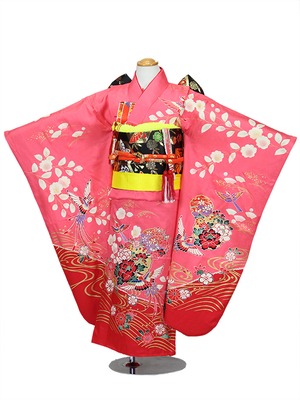 7歳女の子 AP2026