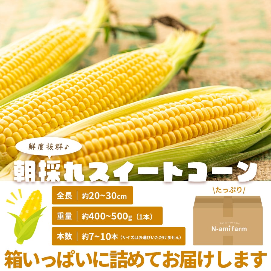 2026年販売】 最高糖度18度の極うま スイートコーン 20～30cm 7本～10