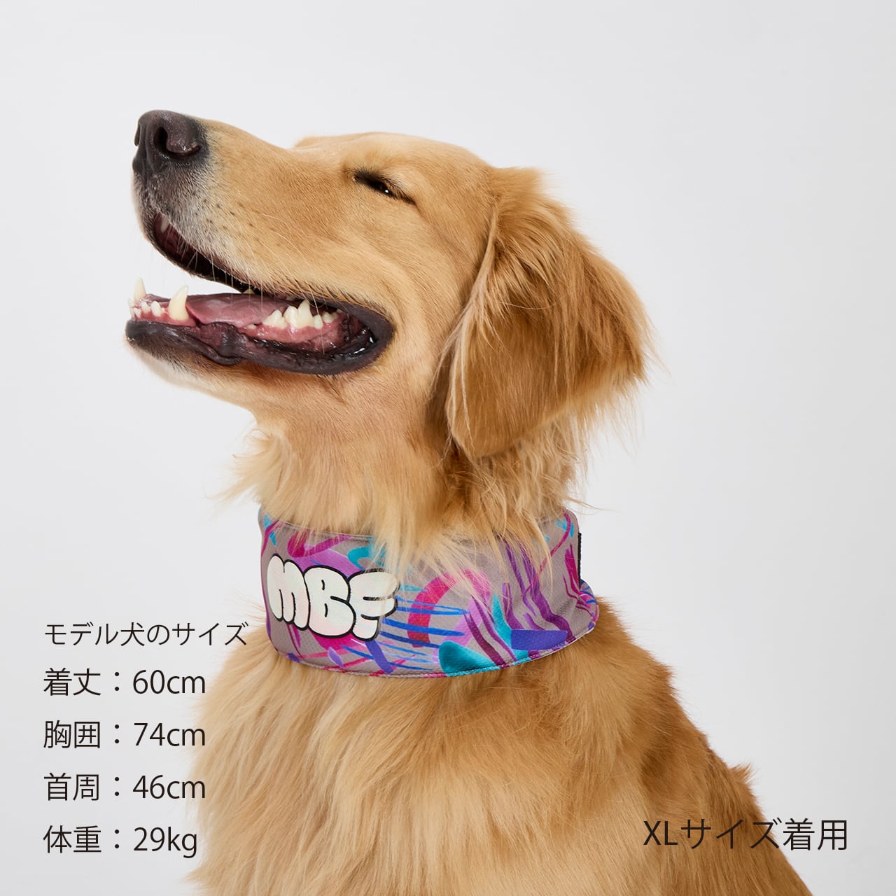 CCL NECK COOLER（L.XL） | MANDARINE BROTHERS マンダリンブラザーズ