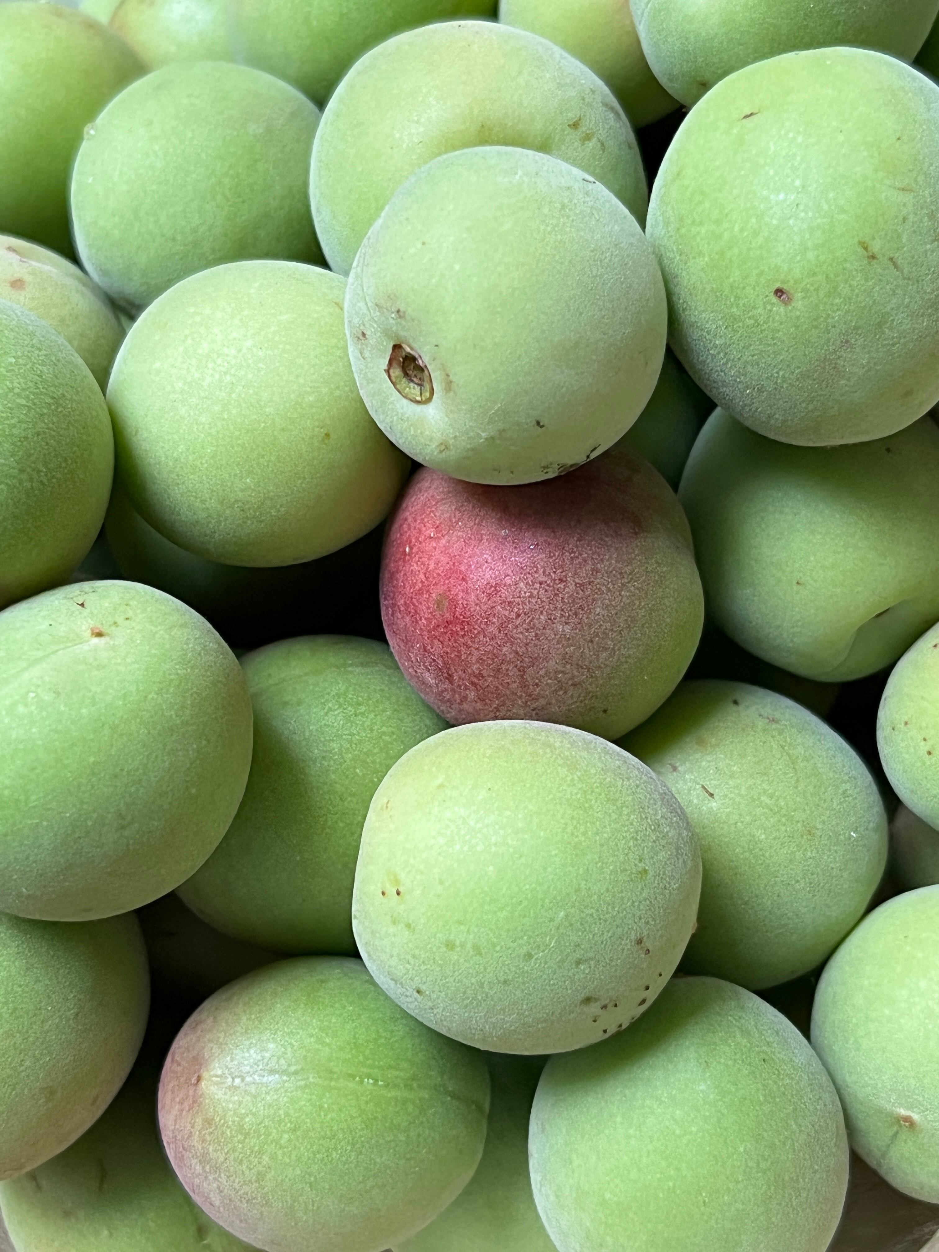 果物 | UKA Greengrocer