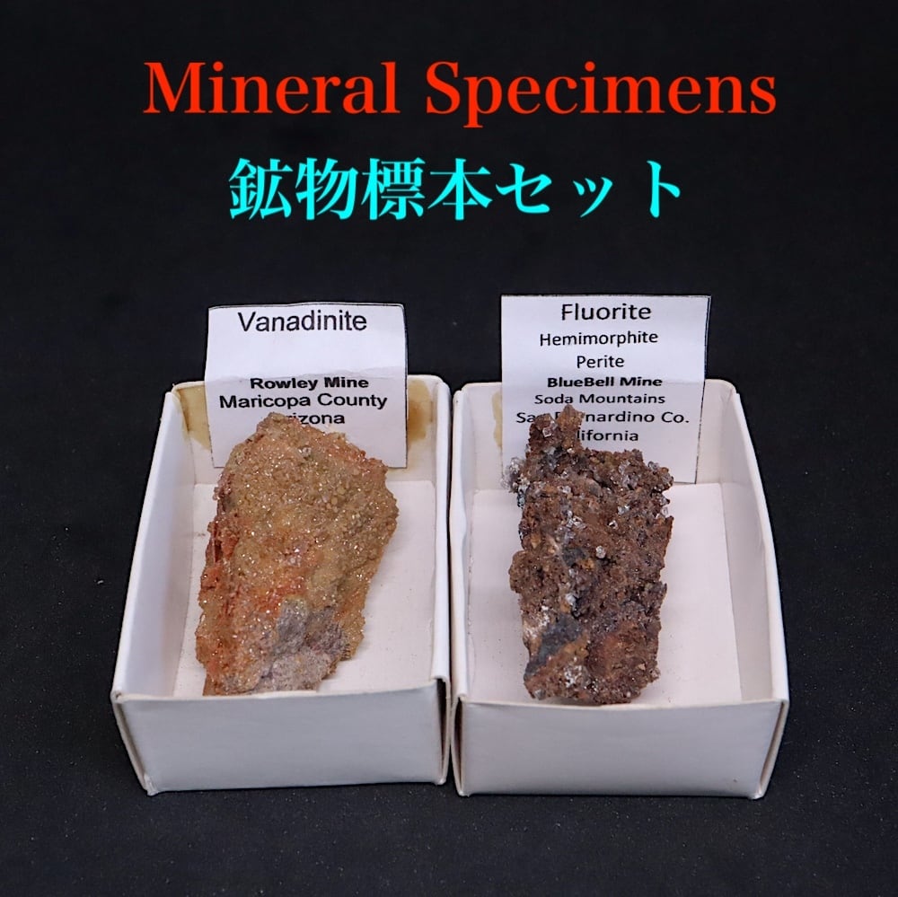 鉱物標本セット | 鉱物 天然石 American Minerals + Gemmy You