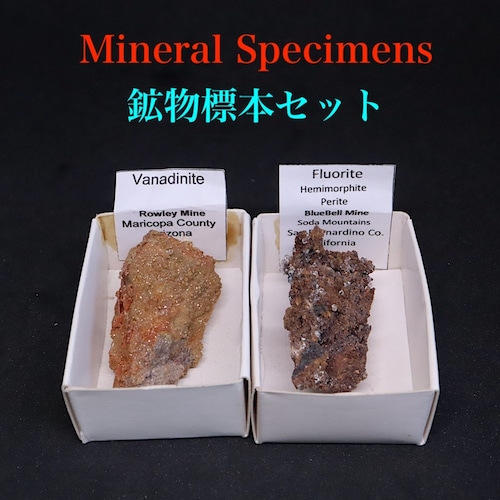 アメリカ産・鉱物標本２セット！   OTH108 原石 天然石 鉱物