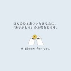 くまさんの深呼吸ファイル｜A5サイズ