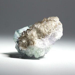 シャンファーリン産 フローライト スモーキークォーツ 共生 / 原石 標本【D_1】