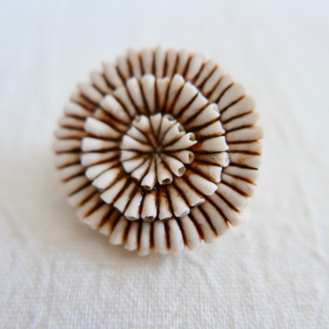 中嶋寿子のブローチ［砂の花］ A-1Y