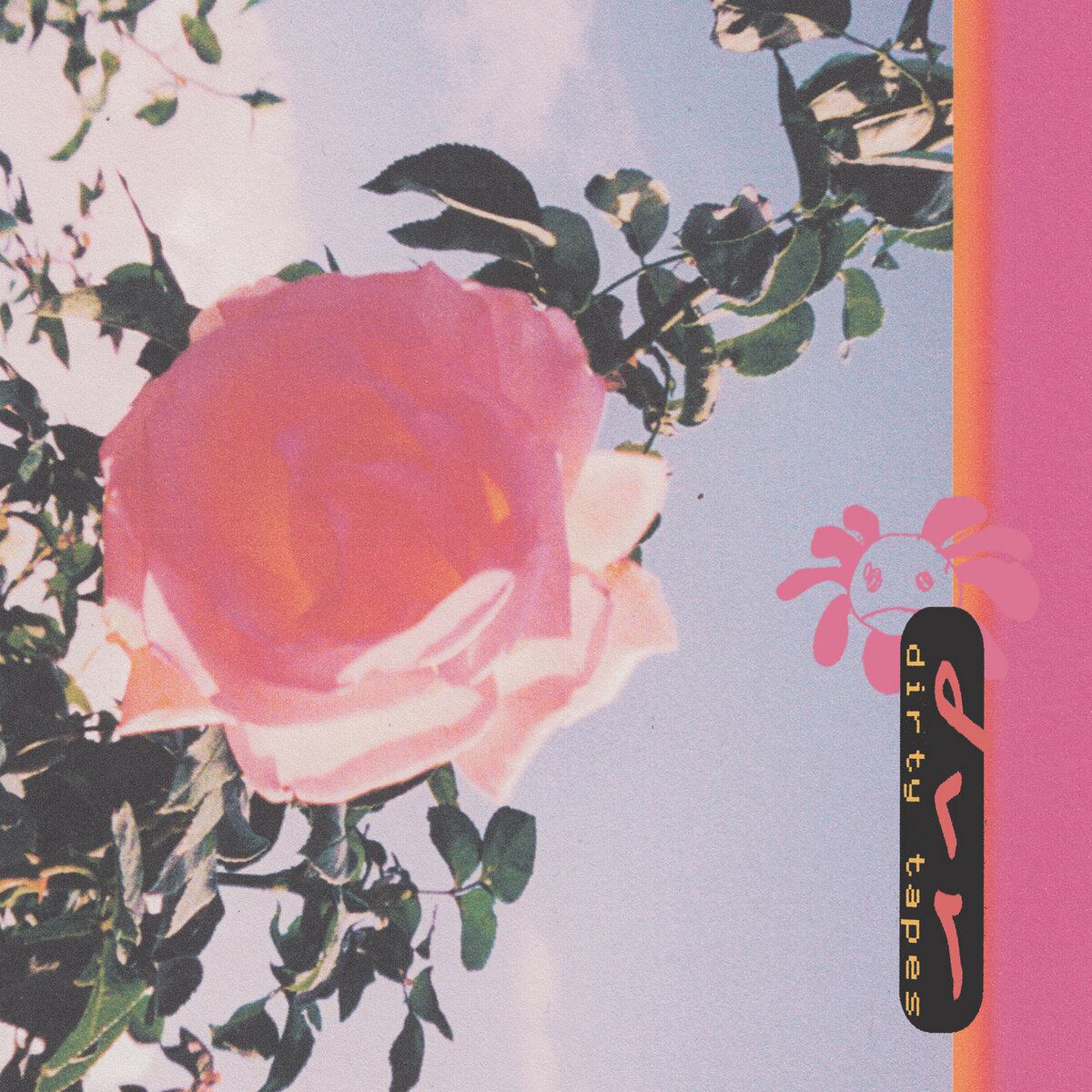 dvr / dirty tapes(Cassette)