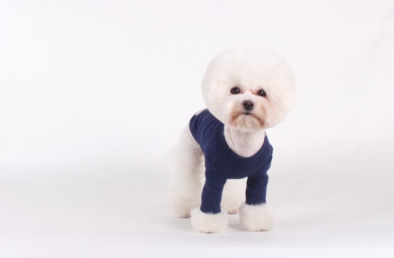 【SALE】 フライス無地Tシャツ S ~ XL 3color / 犬服 新作 長袖 ドッグウェア 小型犬 中型犬 犬 服 暖かい 猫 ペット用品 ペット洋服 b35