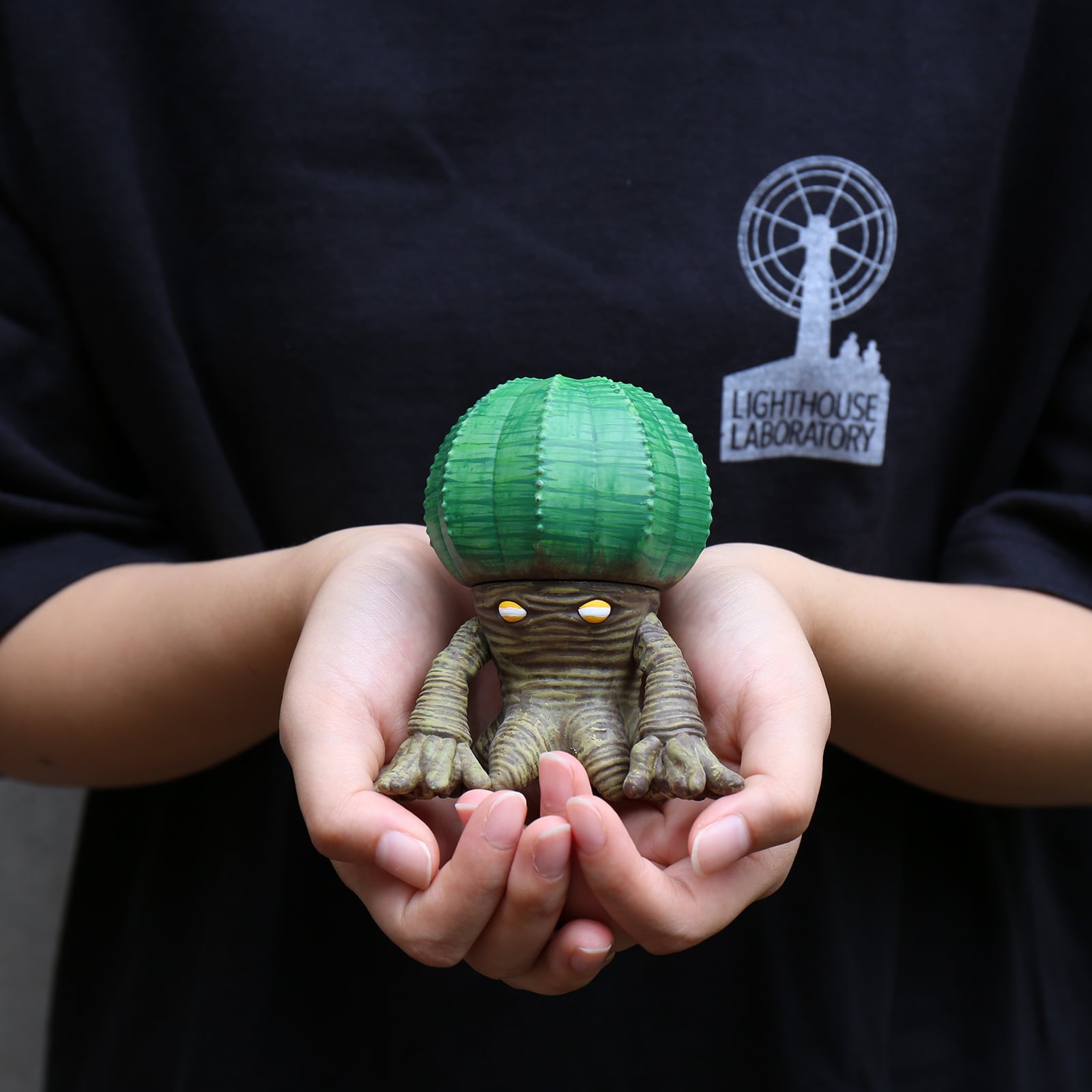 ROOT MONSTER EUPHORBIA OBESA - ルートモンスターオベサ