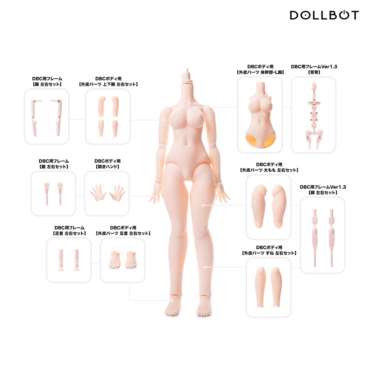 DBCボディ（ワンボディタイプ・フレーム Ver1.3仕様） | DOLLBOT