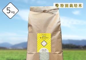 特別栽培米 キヌヒカリ 5kg
