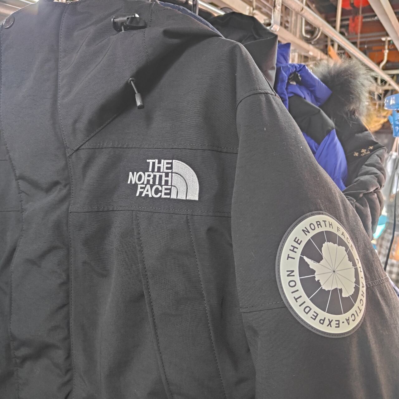 N344 クリーニング済 THE NORTH FACE ヌプシ ダウンジャケット 800LTD 