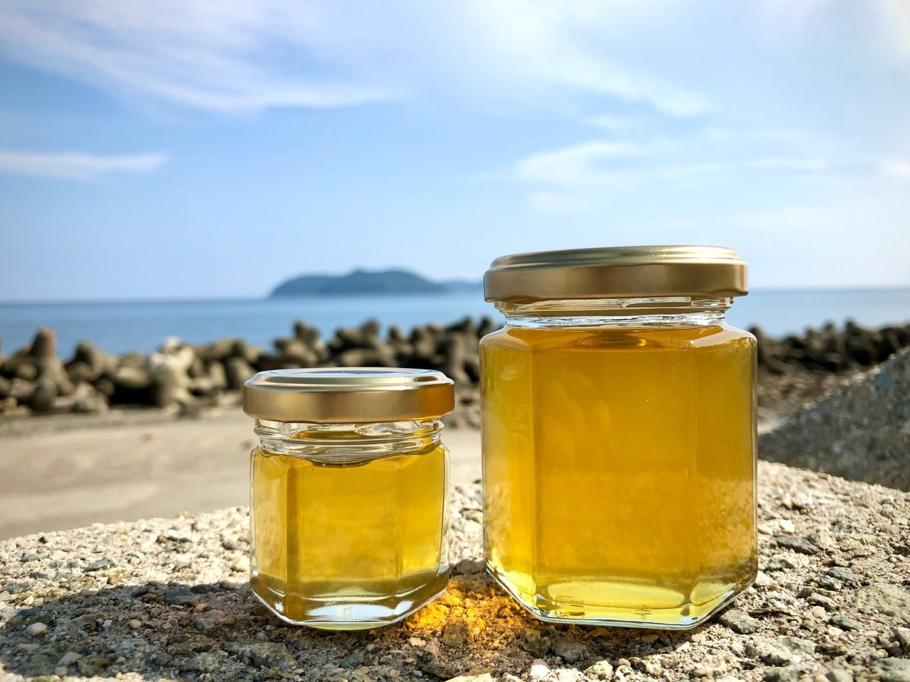 紅茶のためのはちみつ　ニホンミツバチの生はちみつ　50g