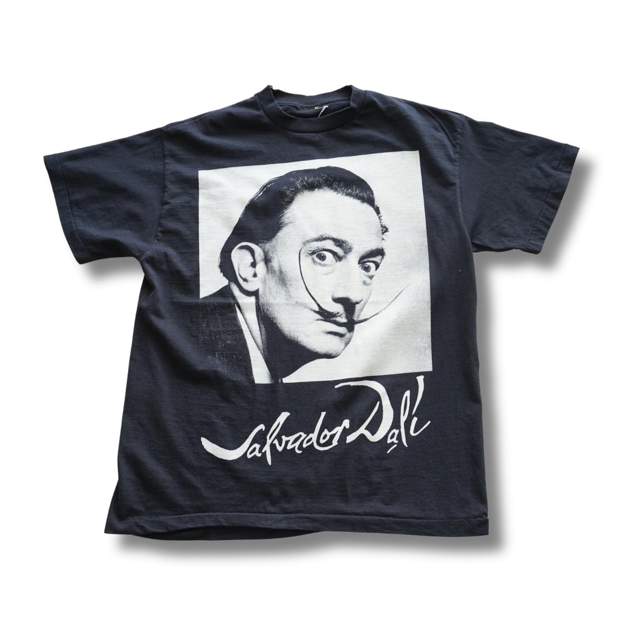 Salvador Dalí サルバドールダリ アートプリントTシャツ L XL|NA762 NA763 NA764