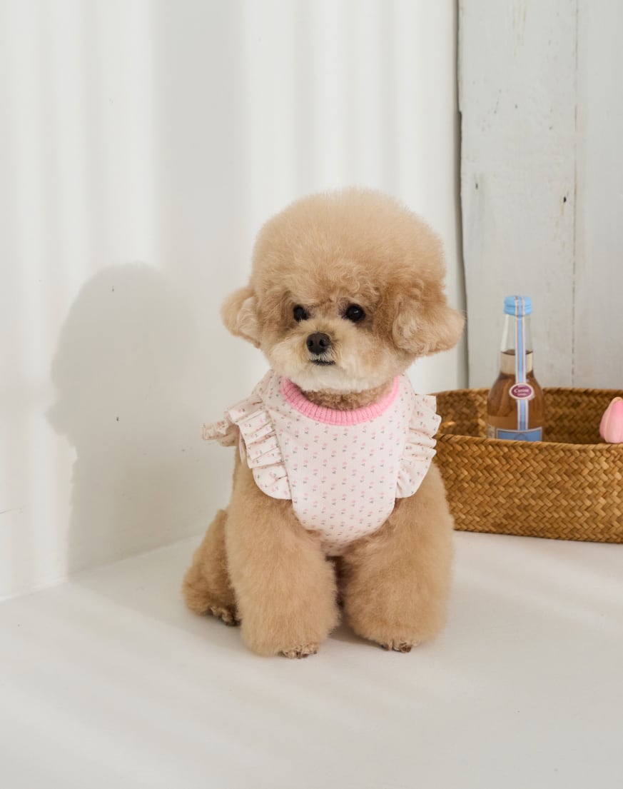 予約【Mabellefifi】Adorable Reversible Poncho Haness (Pink)