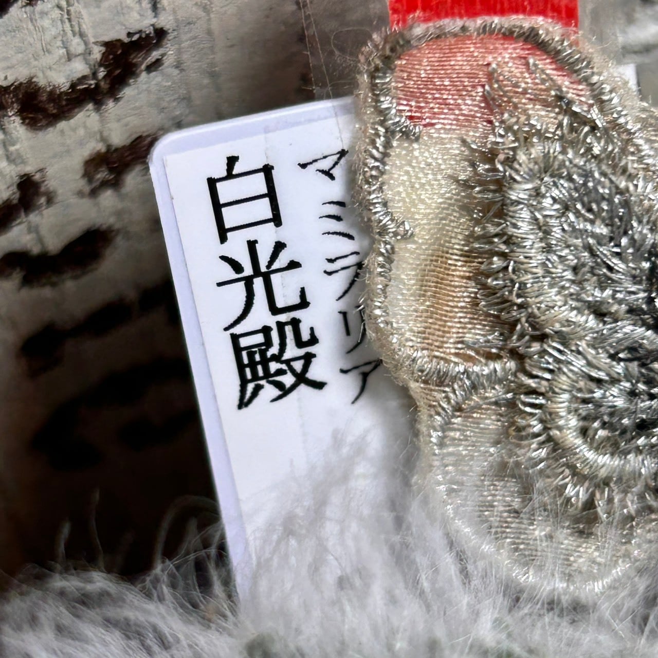 T)白光殿 | RuPo 多肉植物専門店