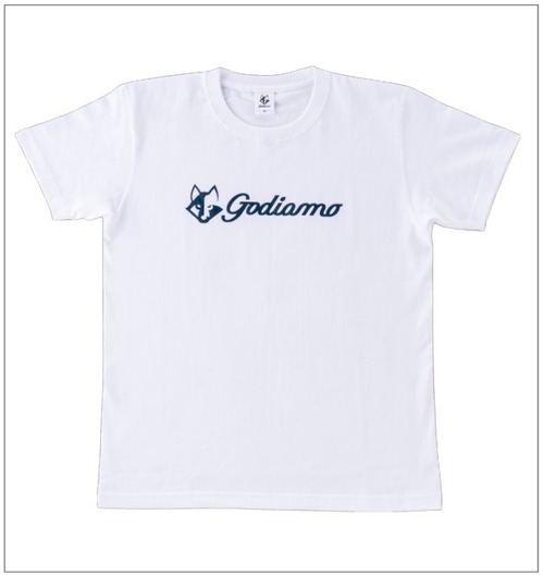 Dry Logo T-Shirt (White) 