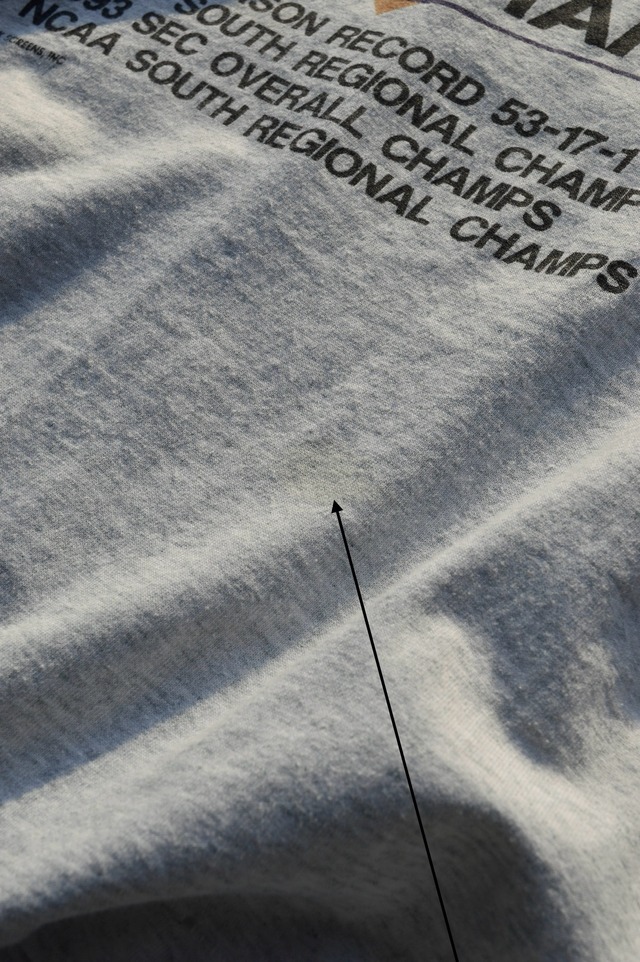 FRUITS OF THE LOOM BEST 1990's LSU Tigers Old Sports Collage Tee NCAA 93s Champion Model Ash Gray フルーツオブザルーム 90s スポーツカレッジT
