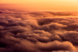 Landscape－61（ワイド四切）