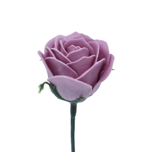 ジャナバラMJ-PR2 ライラック 薄ピンク 25輪入り