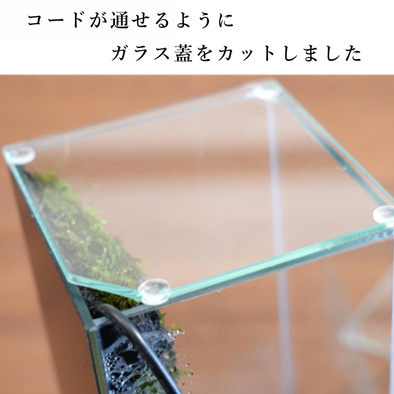 はるちゃんさん専用　アクアテラリウム　滝　苔 完成品】滝のあるアクアテラリウム イモリウム 苔テラリウム アクア