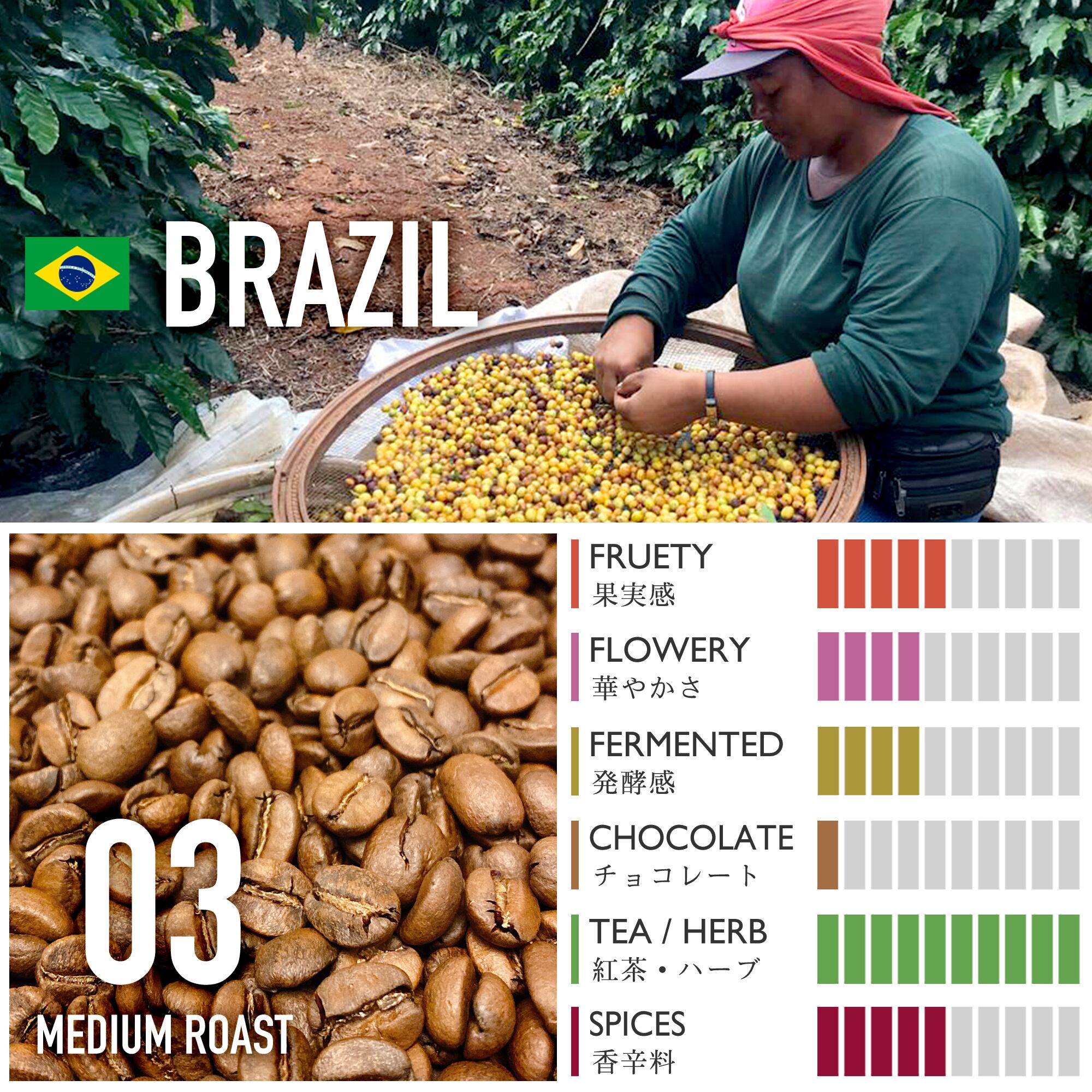 ブラジル/グアリロバ農園・トパージオ・ダブルファーメンテーション・ハニー【中煎り】