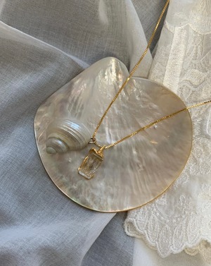 Seashell chain necklace