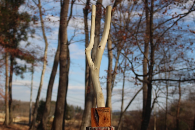 Sound of Woods( Yama Boushi-1)