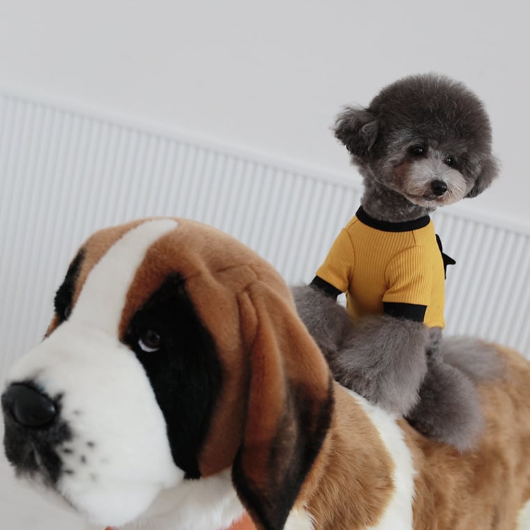 onz ribbon knit t-shirt S ~ XL 4color / 犬服 ニット 可愛い 犬の服 Tシャツ 背中 リボン 重ね着 おしゃれ トップス お揃い ドッグウェア 無地 シンプル 韓国ワンコ服 b54