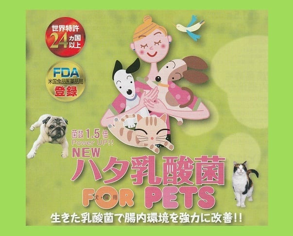 ハタ乳酸菌 FOR PET(60g)　ペット用乳酸菌サプリメント（計量スプーン付）