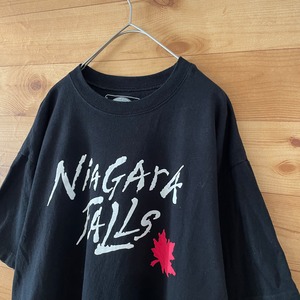 【PASSPORT】カナダ製 ナイアガラの滝 プリント Tシャツ NIAGARA FALLS メイプル L US古着